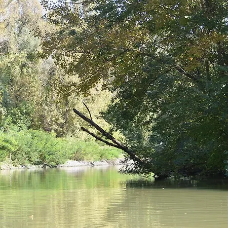 Bence Tiszabábolna