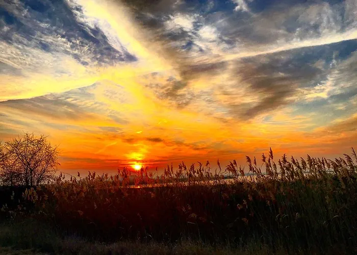 Bence 펜션 Tiszabábolna