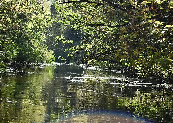 Bence 펜션 Tiszabábolna