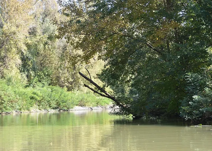 Bence Tiszabábolna