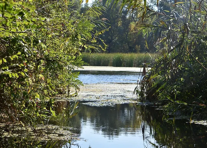 펜션 Bence Tiszabábolna