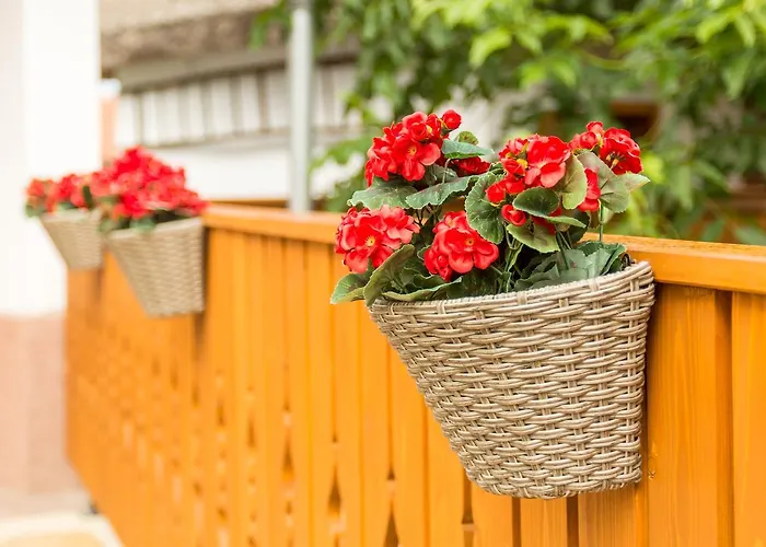 Casa vacanze Bence Tiszabábolna